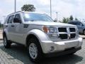 Bright Silver Metallic - Nitro SE Photo No. 4