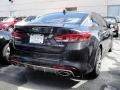 Platinum Graphite - Optima SX Photo No. 6
