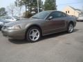 2002 Mineral Grey Metallic Ford Mustang GT Coupe  photo #1