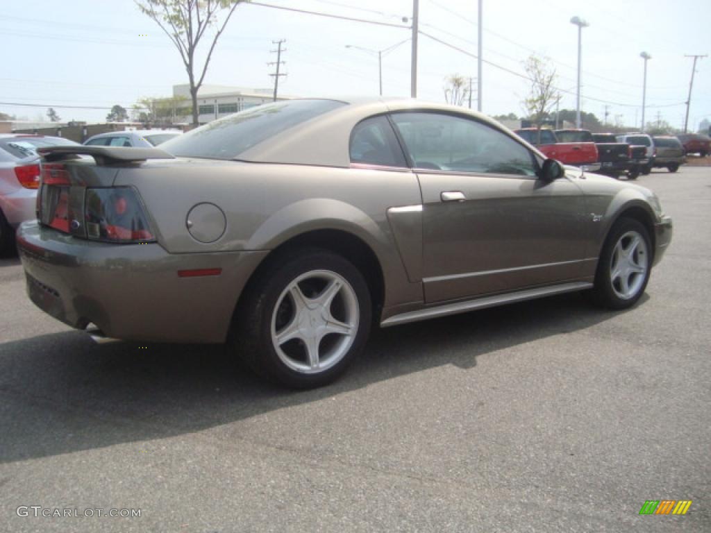 2002 Mustang GT Coupe - Mineral Grey Metallic / Dark Charcoal photo #5
