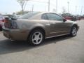 2002 Mineral Grey Metallic Ford Mustang GT Coupe  photo #5