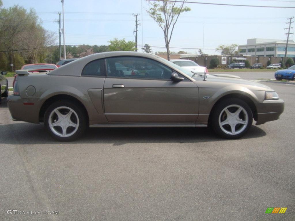 2002 Mustang GT Coupe - Mineral Grey Metallic / Dark Charcoal photo #6