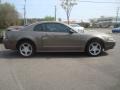 2002 Mineral Grey Metallic Ford Mustang GT Coupe  photo #6