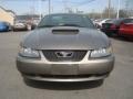 2002 Mineral Grey Metallic Ford Mustang GT Coupe  photo #8