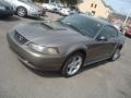 2002 Mineral Grey Metallic Ford Mustang GT Coupe  photo #9