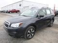 Dark Gray Metallic - Forester 2.5i Photo No. 11