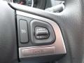 Dark Gray Metallic - Forester 2.5i Photo No. 19