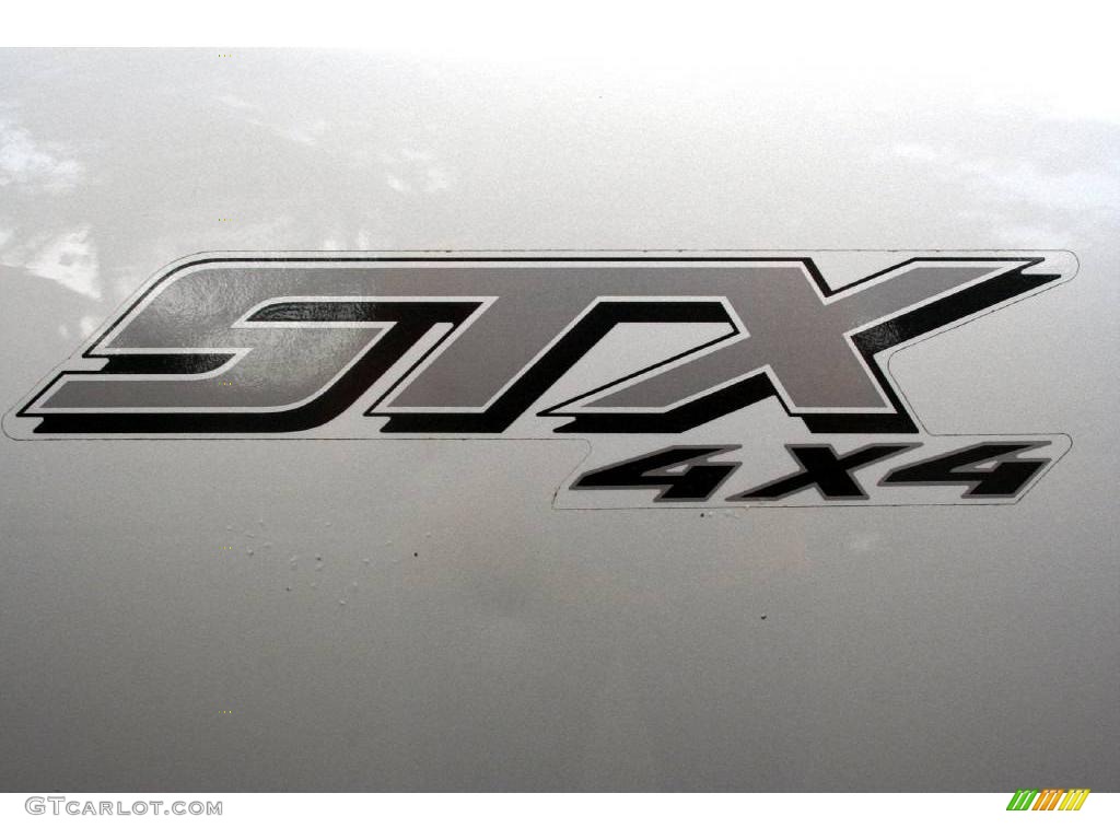 2004 F150 STX SuperCab 4x4 - Silver Metallic / Dark Flint photo #45