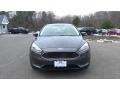 Magnetic - Focus SE Sedan Photo No. 2