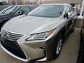 Atomic Silver - RX 350 AWD Photo No. 1