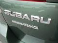 2010 Cypress Green Pearl Subaru Outback 2.5i Premium Wagon  photo #6