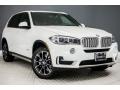 Alpine White - X5 sDrive35i Photo No. 12