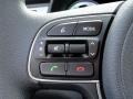 Charcoal Controls Photo for 2017 Kia Niro #119359495