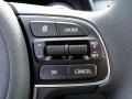 Charcoal Controls Photo for 2017 Kia Niro #119359524