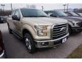 White Gold 2017 Ford F150 XLT SuperCab 4x4