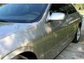 Light Parchment Gold Metallic - LS V6 Photo No. 22