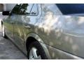 Light Parchment Gold Metallic - LS V6 Photo No. 23