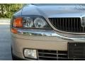 Light Parchment Gold Metallic - LS V6 Photo No. 25