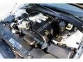 Light Parchment Gold Metallic - LS V6 Photo No. 31