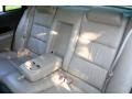 Light Parchment Gold Metallic - LS V6 Photo No. 55