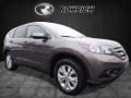 2014 Alabaster Silver Metallic Honda CR-V EX AWD  photo #1