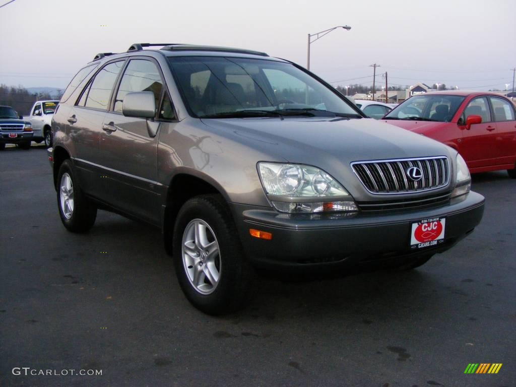 2003 RX 300 - Mineral Green Opalescent / Ivory photo #3