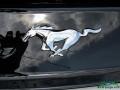 2017 White Platinum Ford Mustang EcoBoost Premium Convertible  photo #34