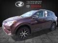 Black Current Metallic - RAV4 SE AWD Photo No. 4