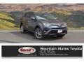 2017 Magnetic Gray Metallic Toyota RAV4 Limited AWD  photo #1