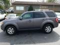Sterling Gray Metallic - Escape Limited V6 4WD Photo No. 2