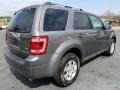 Sterling Gray Metallic - Escape Limited V6 4WD Photo No. 5