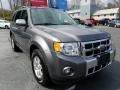 Sterling Gray Metallic - Escape Limited V6 4WD Photo No. 7