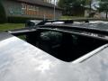 Sterling Gray Metallic - Escape Limited V6 4WD Photo No. 25