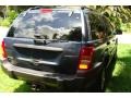 Steel Blue Pearl - Grand Cherokee Laredo 4x4 Photo No. 19