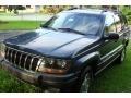 Steel Blue Pearl - Grand Cherokee Laredo 4x4 Photo No. 23