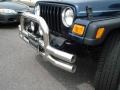 2003 Patriot Blue Jeep Wrangler Sport 4x4  photo #21