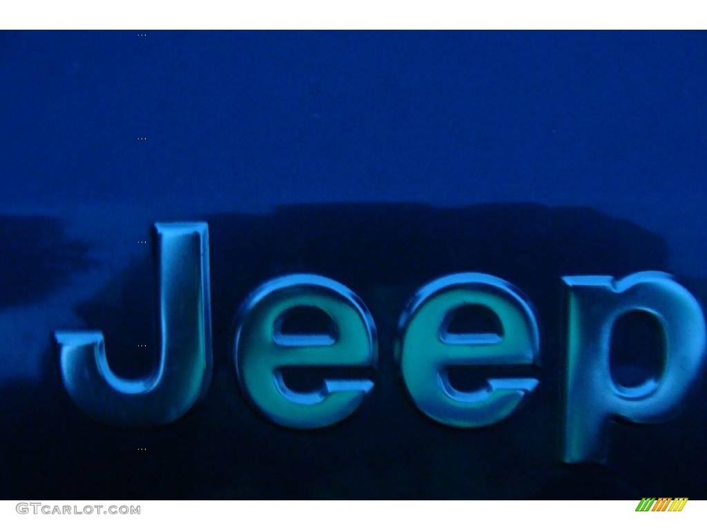 2001 Grand Cherokee Laredo 4x4 - Steel Blue Pearl / Taupe photo #42