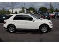 Alabaster White - ML 350 4Matic Photo No. 13