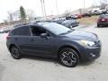 2015 Dark Gray Metallic Subaru XV Crosstrek 2.0i Premium  photo #6