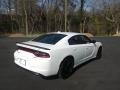 White Knuckle - Charger R/T Photo No. 6