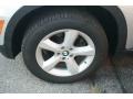 Titanium Silver Metallic - X5 3.0si Photo No. 17
