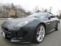 Stratus Grey Metallic 2014 Jaguar F-TYPE V8 S