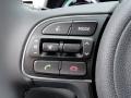 Controls of 2017 Niro EX Hybrid