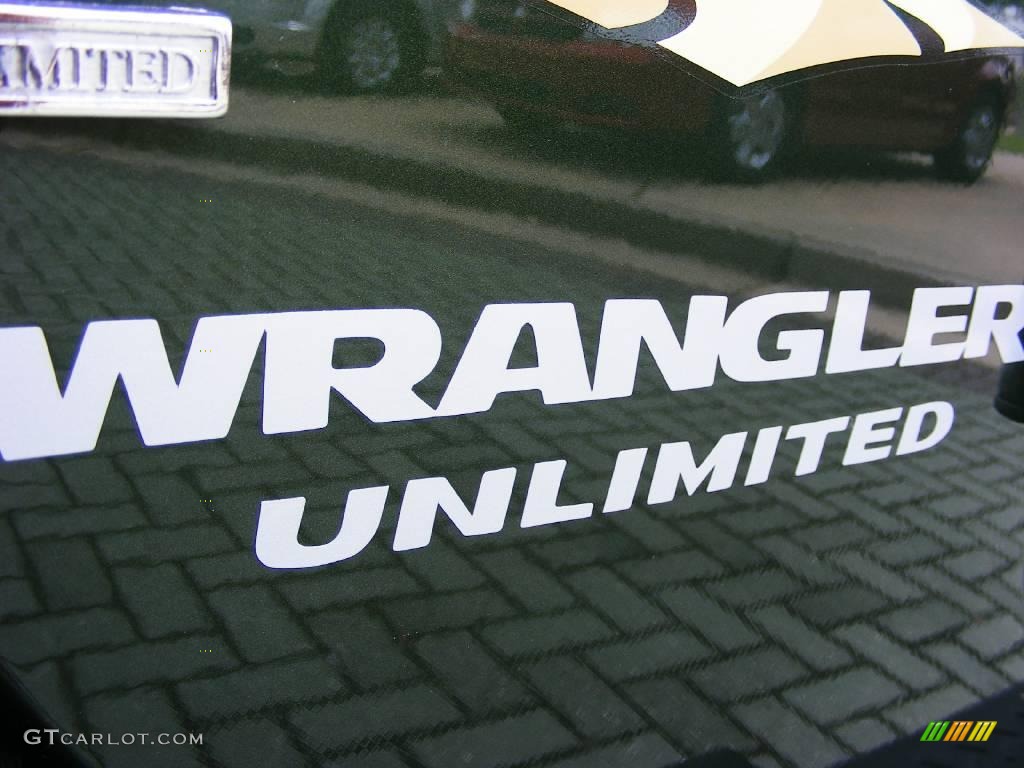 2008 Wrangler Unlimited Sahara - Jeep Green Metallic / Dark Slate Gray/Med Slate Gray photo #10