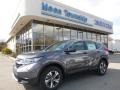 2017 Modern Steel Metallic Honda CR-V LX AWD  photo #1