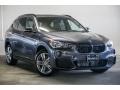 2017 Mineral Grey Metallic BMW X1 sDrive28i  photo #12