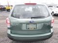 Jasmine Green Metallic - Forester 2.5i Photo No. 8