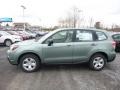 Jasmine Green Metallic - Forester 2.5i Photo No. 10