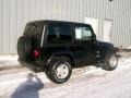 Black Clearcoat - Wrangler Sahara 4x4 Photo No. 3
