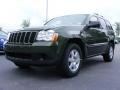 2009 Jeep Green Metallic Jeep Grand Cherokee Laredo  photo #1